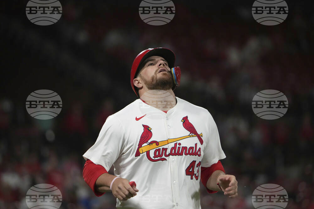 Tigers Cardinals Baseball