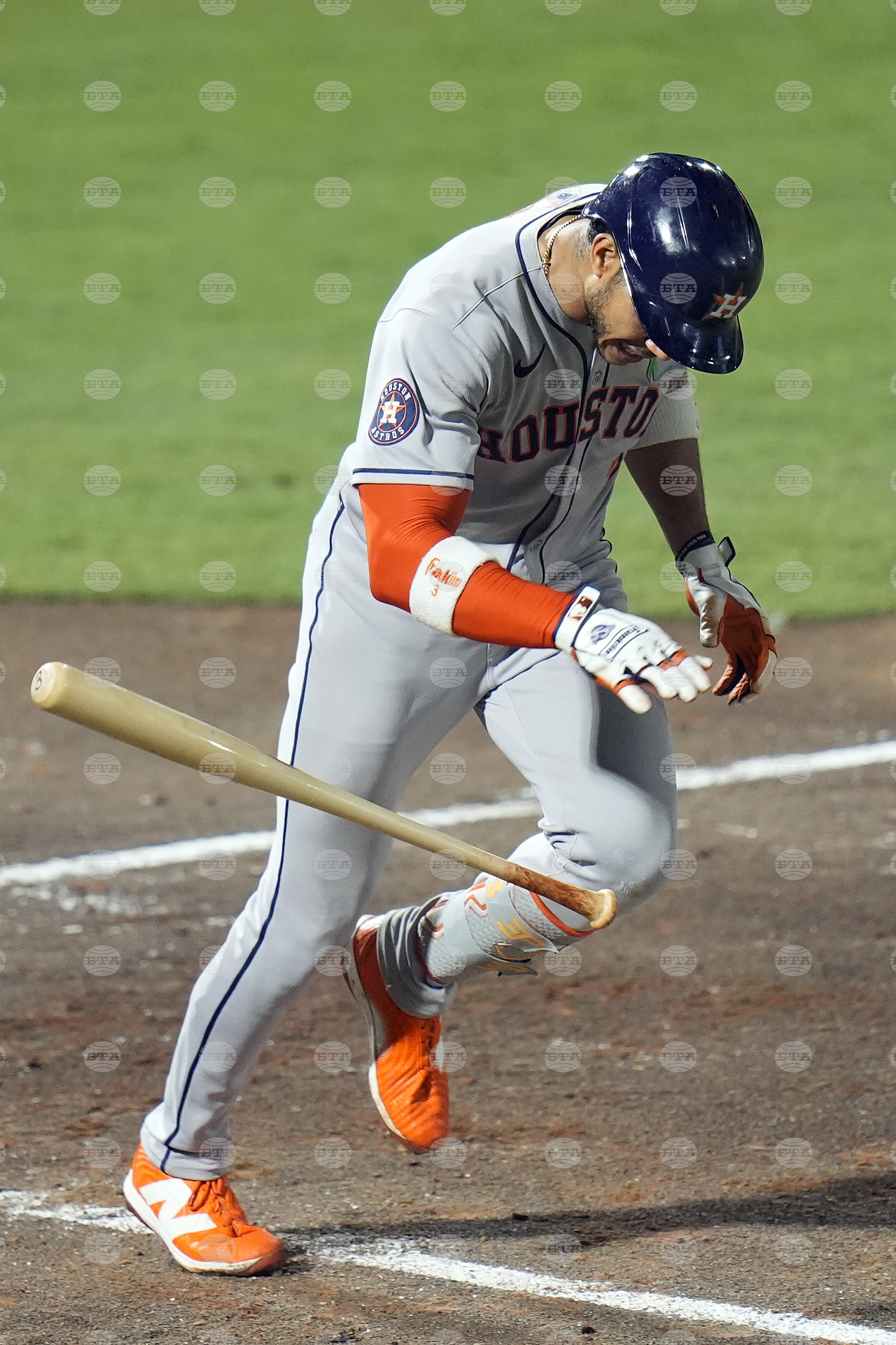 Astros Rays Baseball