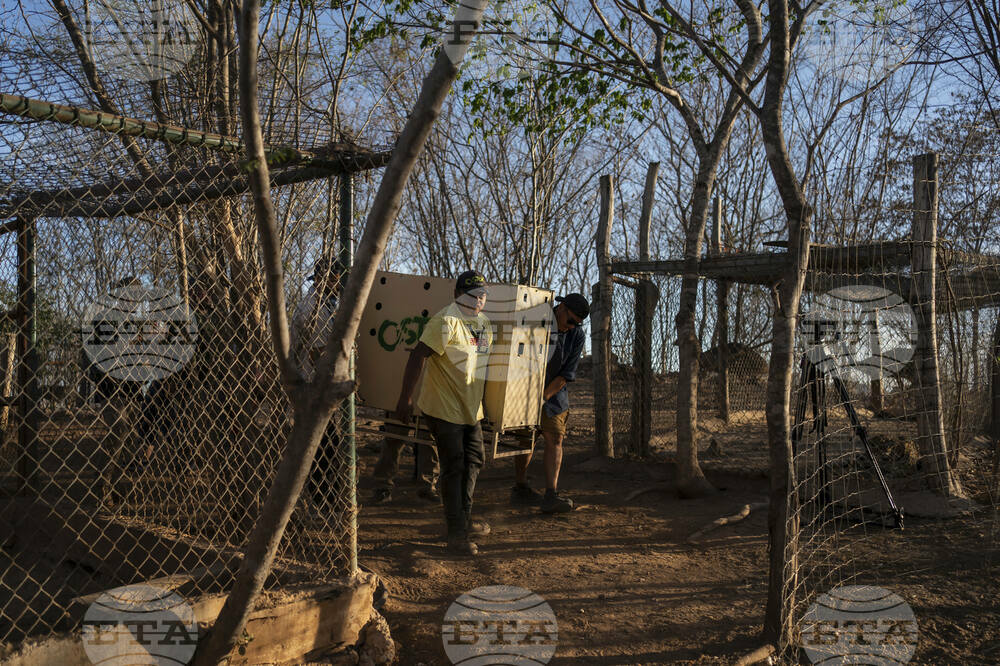 Mexico Violence Animals Refuge