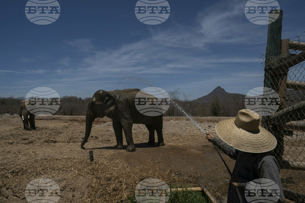 Mexico Violence Animals Refuge