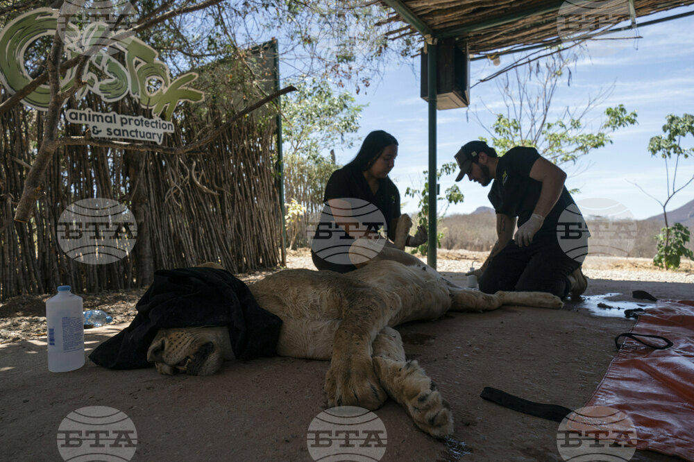 Mexico Violence Animals Refuge