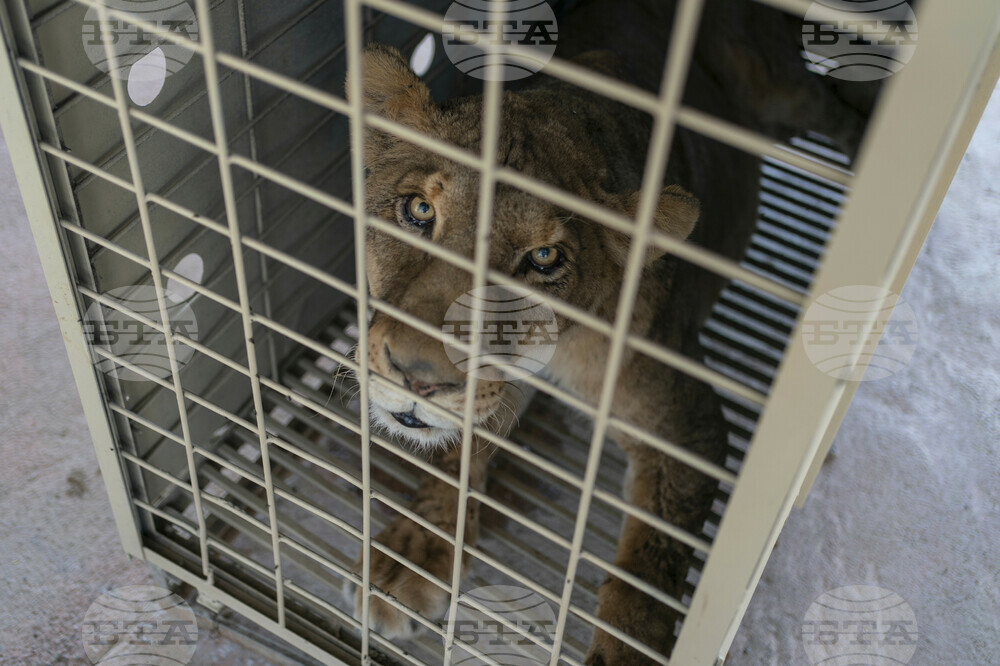 Mexico Violence Animals Refuge