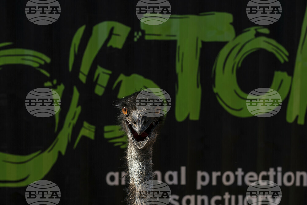 Mexico Violence Animals Refuge