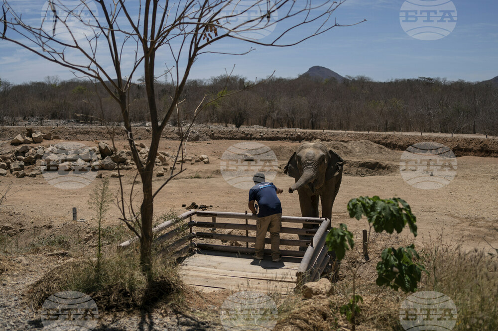 Mexico Violence Animals Refuge