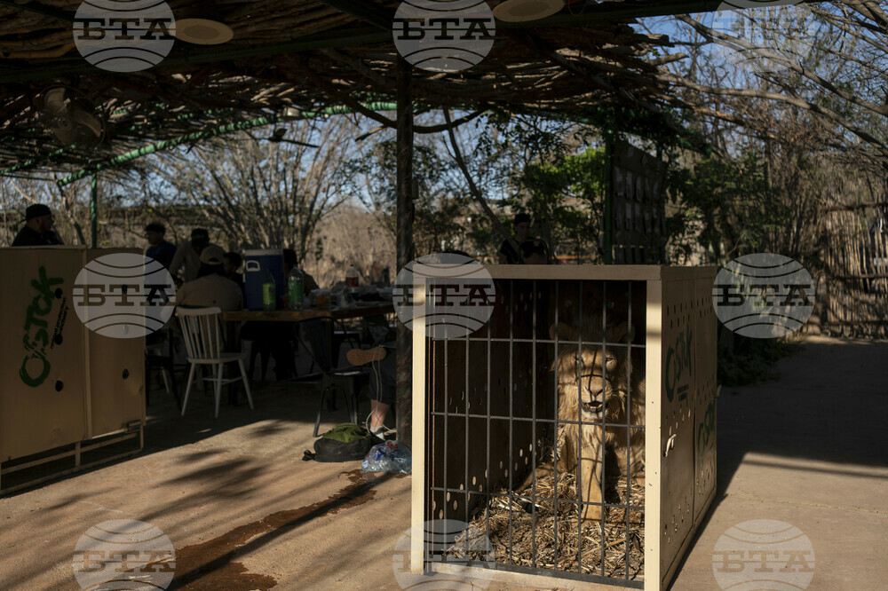 Mexico Violence Animals Refuge