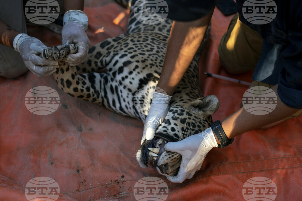 Mexico Violence Animals Refuge
