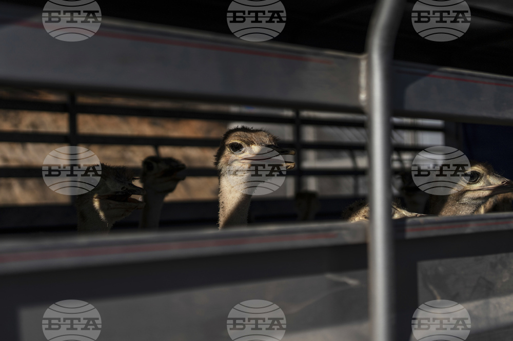 Mexico Violence Animals Refuge