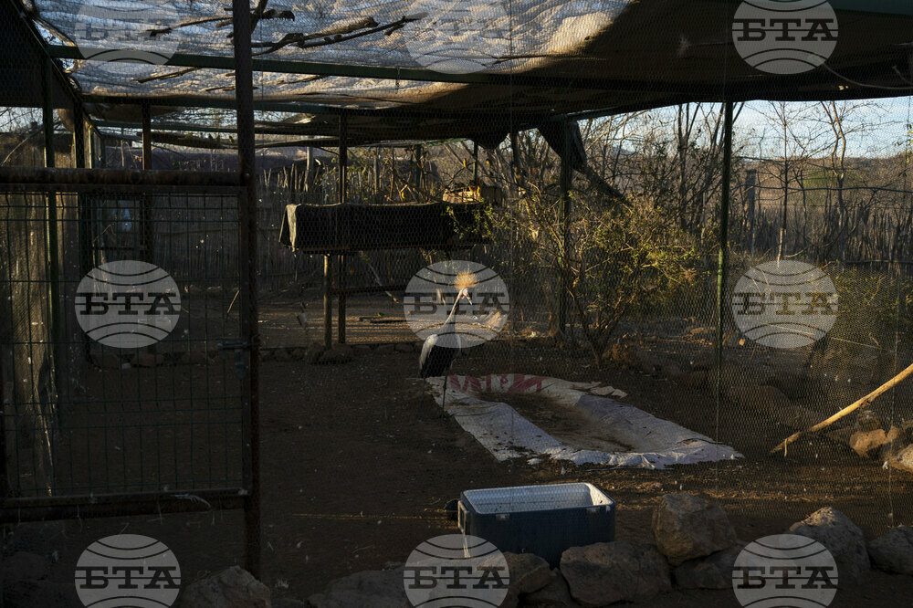 Mexico Violence Animals Refuge