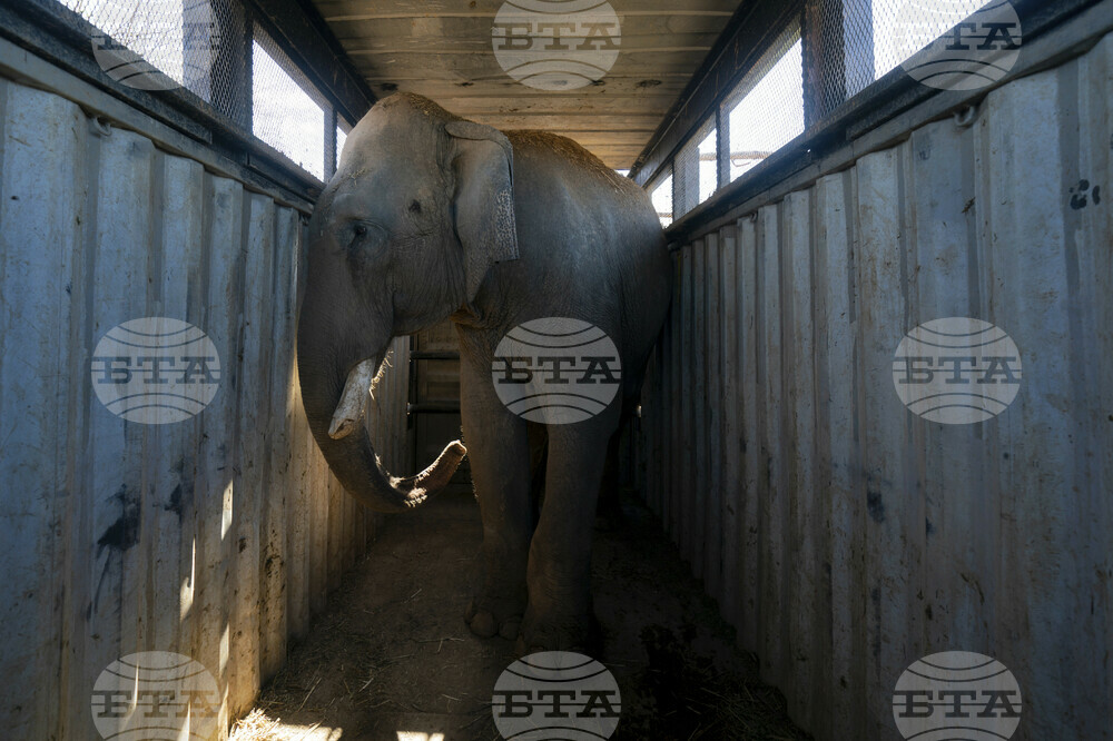 Mexico Violence Animals Refuge