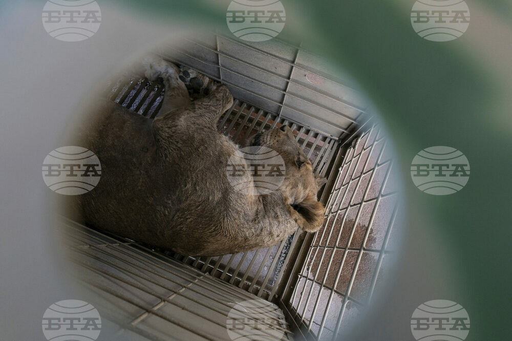 Mexico Violence Animals Refuge