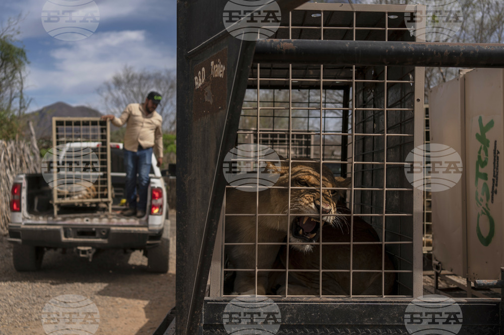APTOPIX Mexico Violence Animals Refuge