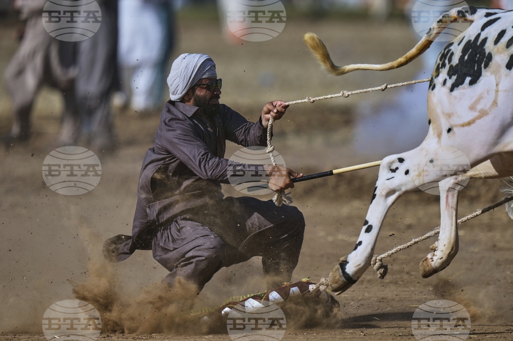 Pakistan Bull Racing Photo Gallery