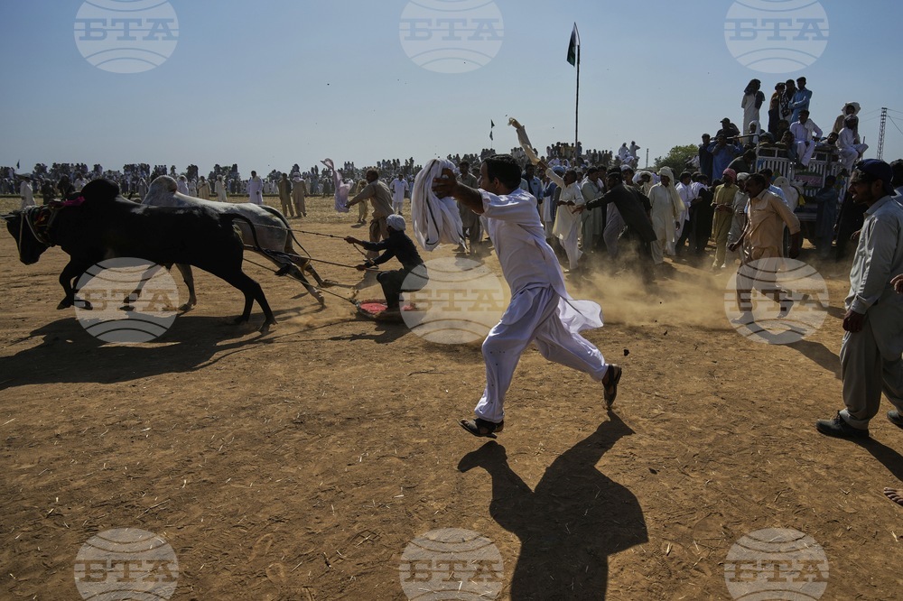 Pakistan Bull Racing Photo Gallery