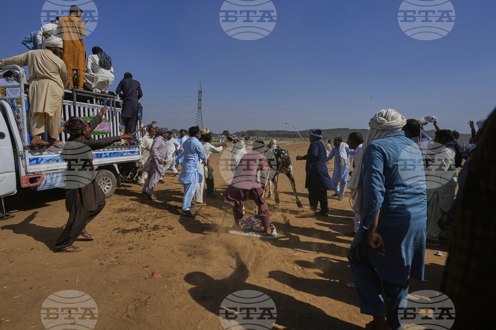 Pakistan Bull Racing Photo Gallery