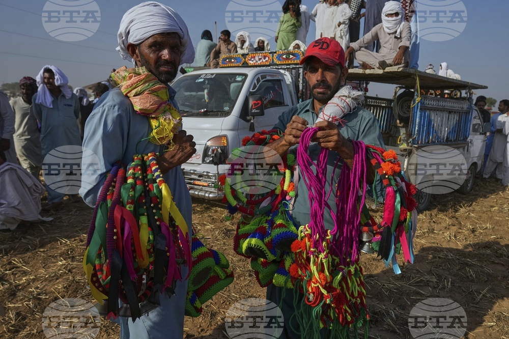 Pakistan Bull Racing Photo Gallery