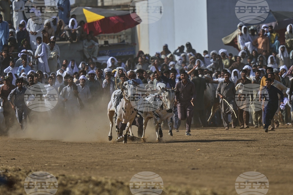 Pakistan Bull Racing Photo Gallery