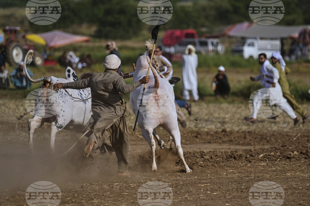 Pakistan Bull Racing Photo Gallery