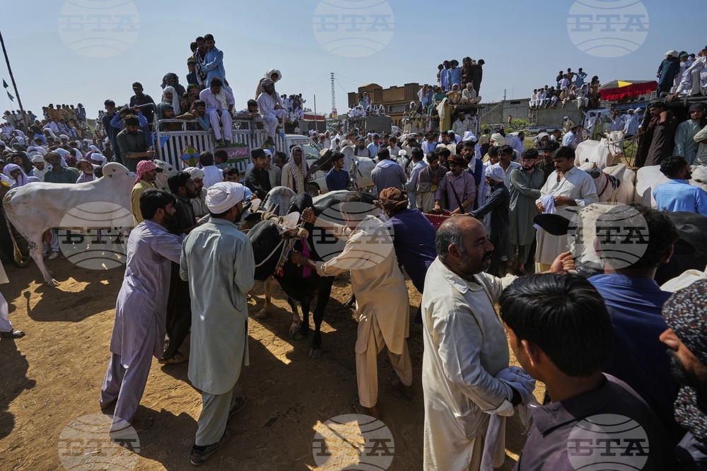 Pakistan Bull Racing Photo Gallery
