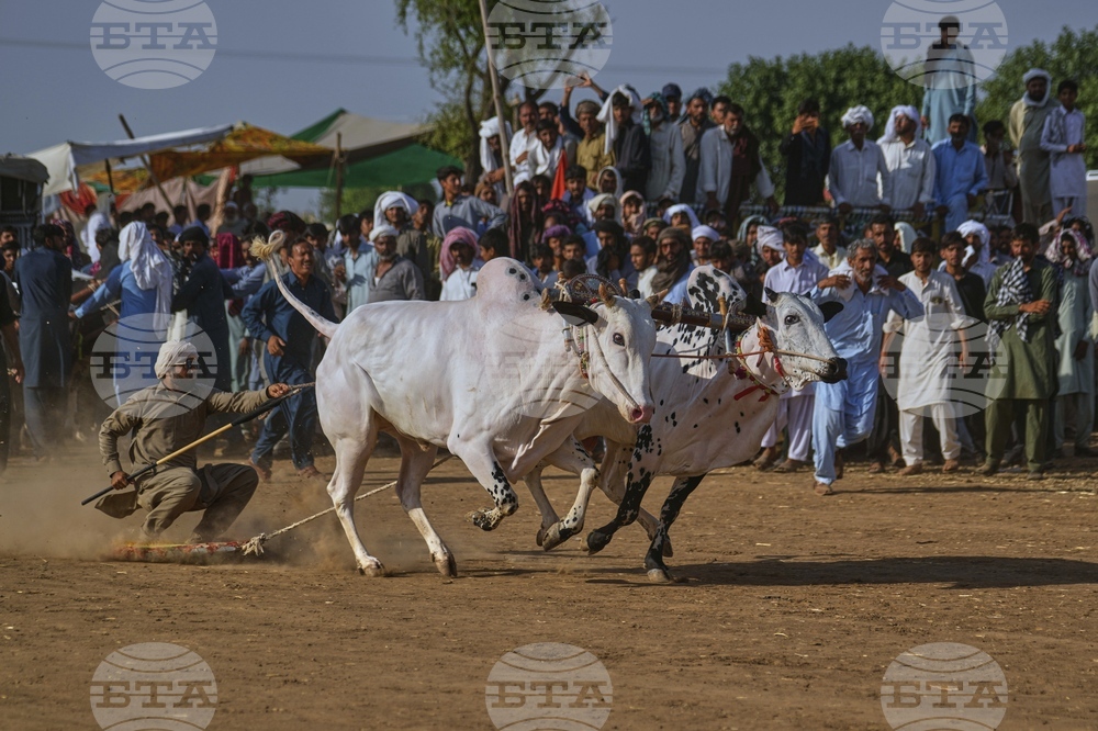 Pakistan Bull Racing Photo Gallery
