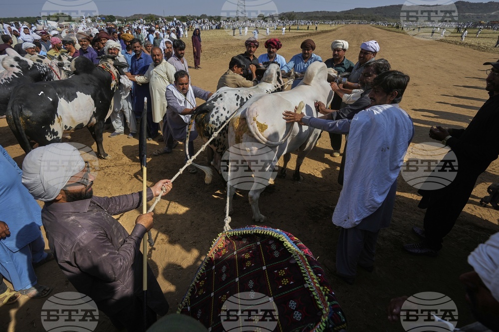 Pakistan Bull Racing Photo Gallery