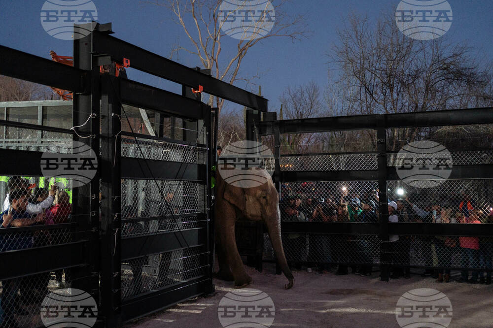 Mexico Violence Animals Refuge