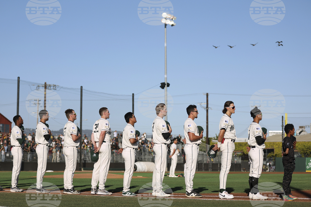 Raptors Ballers Baseball