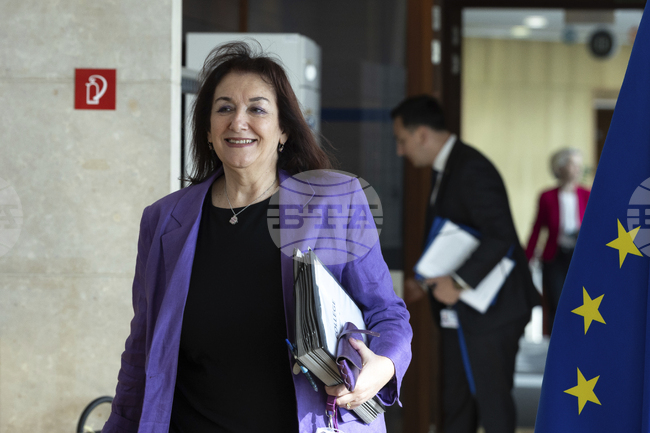 Средиземноморският пакт е сигурен икономически актив за Хърватия, каза зам.-председателят на Еврокомисията Дубравка Шуица на конференция в Задар