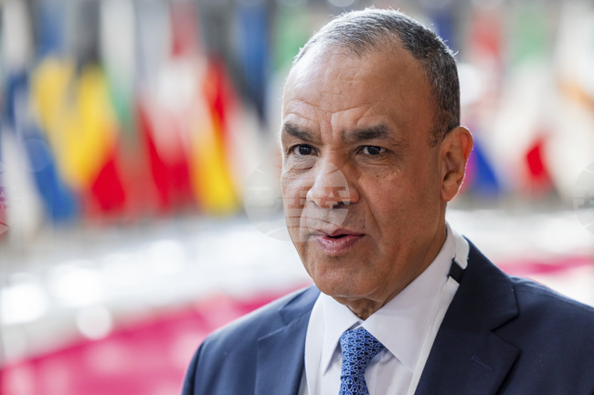 МЕНА: Египетският външен министър оцени високо отношенията между Египет и Франция 