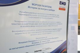 Бургас - "Морски пазители: Истории за есетри и рибари" - изложба