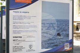 Бургас - "Морски пазители: Истории за есетри и рибари" - изложба