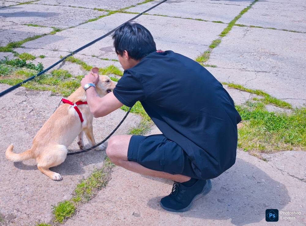 Столична община започва програма за емоционална подкрепа на деца от центровете за временно настаняване чрез контакт с животни 