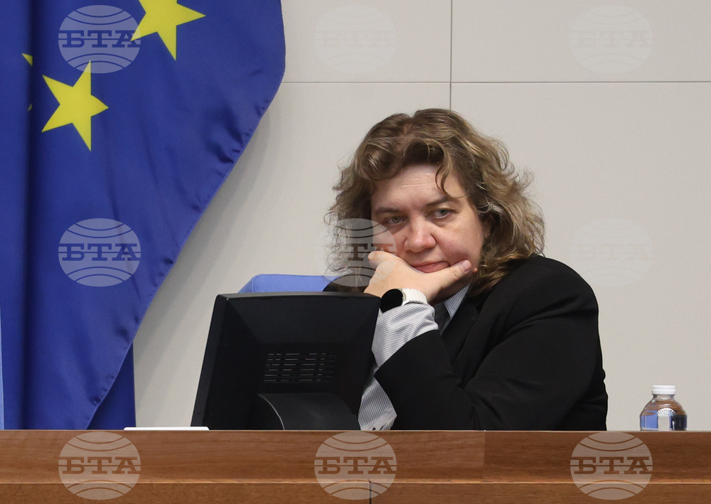 Coming Days Are Crucial for Bulgaria's Eurozone Bid, Says National Assembly Chair Kiselova