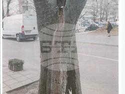 Снимка: Община Варна