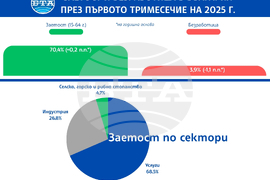 Ръст в броя на заетите в България през първото тримесечие на годината спрямо същия период на 2024 г., сочи справка в НСИ