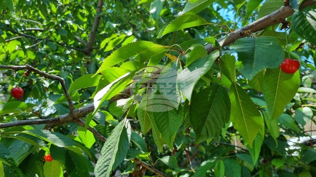 Прогноза за времето 