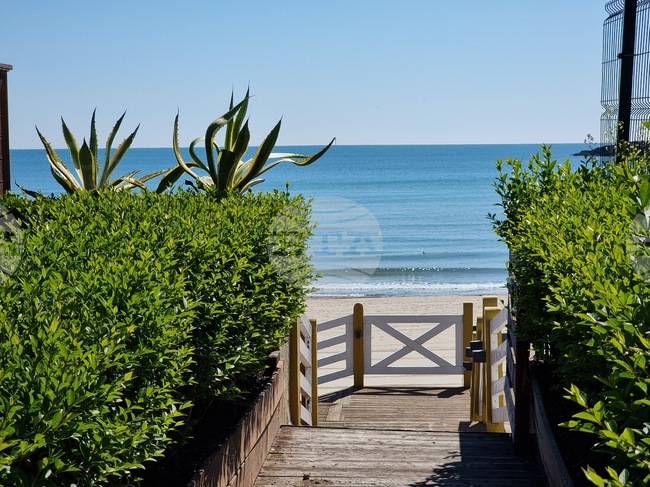 Плаж Созопол-Централен за поредна година е носител на отличие "Син флаг"