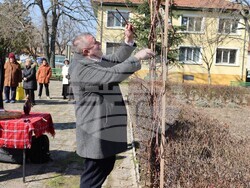Трифон Зарезан празнуваха днес в хасковското село Гарваново