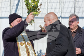 Варна - Трифон Зарезан - лозя - празник