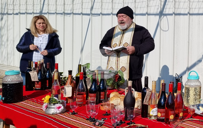 Варна - Трифон Зарезан - лозя