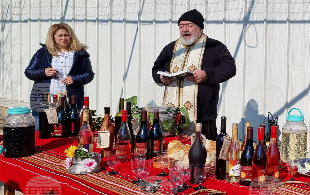 Варна - Трифон Зарезан - лозя - празник