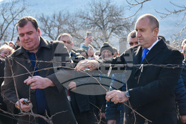 Село Устина - Трифон Зарезан - Румен Радев