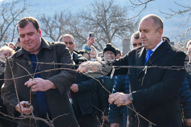 Село Устина - Трифон Зарезан - Румен Радев