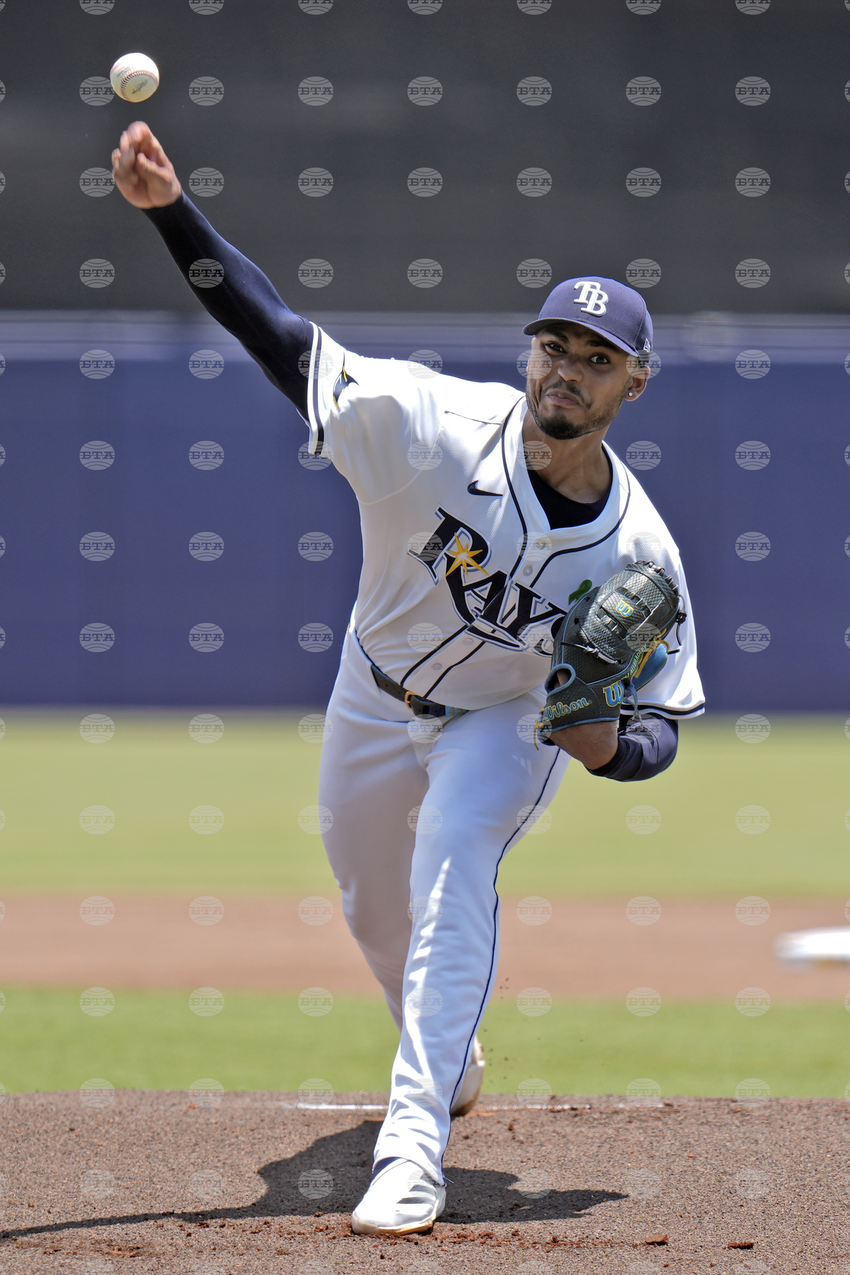 Astros Rays Baseball