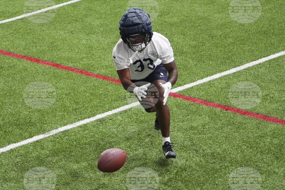 Bears Football