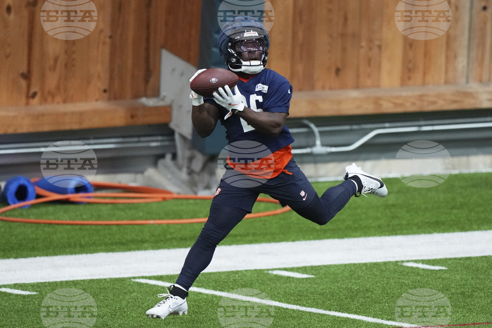 Bears Football