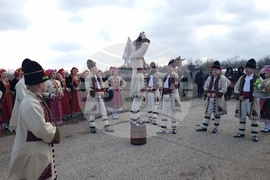 Плевен - Трифон Зарезан - Институт по лозарство и винарство