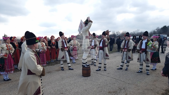 Плевен - Трифон Зарезан - Институт по лозарство и винарство