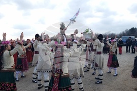 Плевен - Трифон Зарезан - Институт по лозарство и винарство