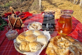 Плевен - Трифон Зарезан - Институт по лозарство и винарство