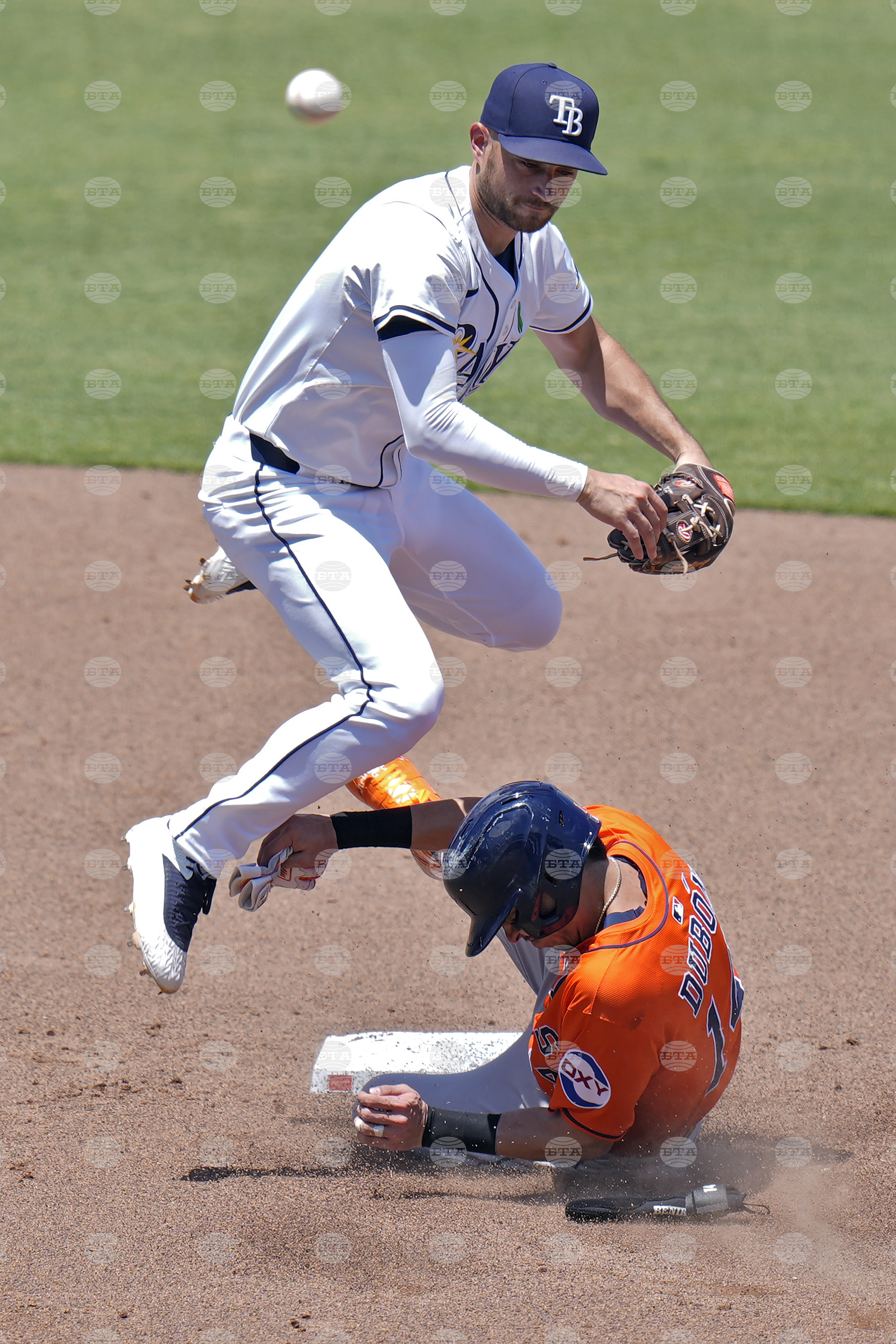 Astros Rays Baseball